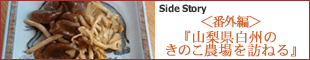 SideStory365：
