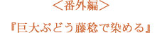 ＜番外編＞ 巨大ぶどうピオーネで染める