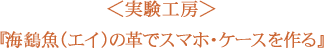 ＜実験工房＞海鷂魚（エイ）の革でスマホ・ケースを作る