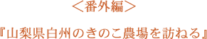 ＜番外編＞山梨県白州のきのこ農場を訪ねる