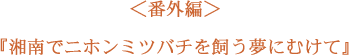 ＜番外編＞湘南でニホンミツバチを飼う夢にむけて