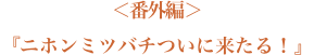 番外編「ニホンミツバチついに来たる！」