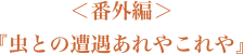 番外編「虫との遭遇あれやこれや」